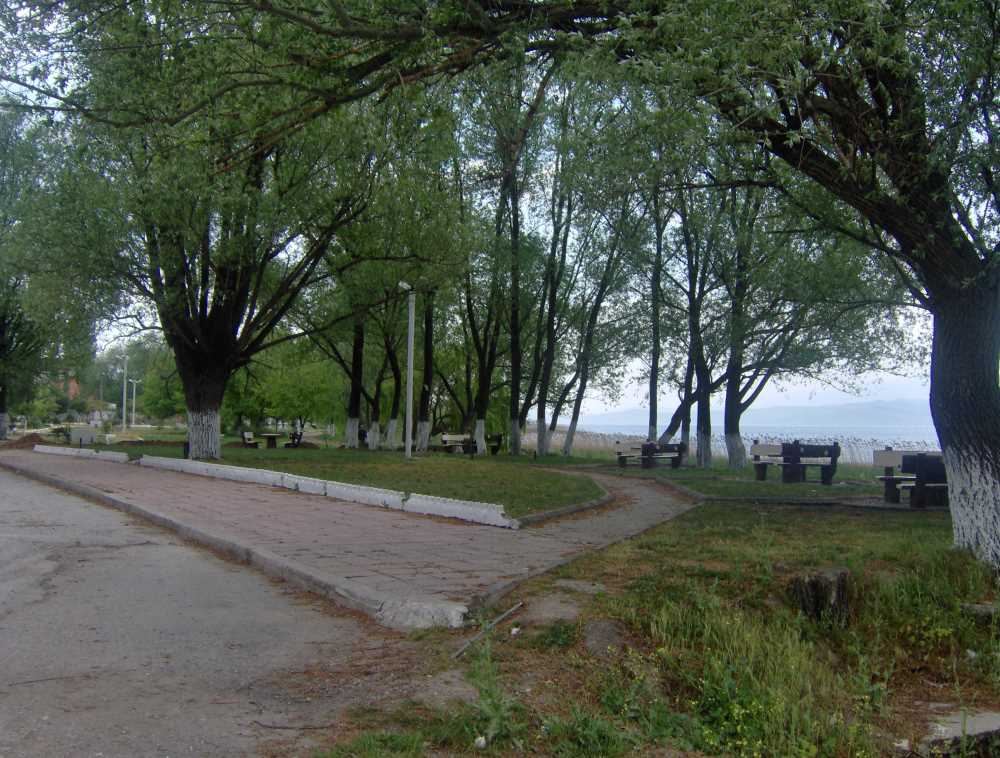 Sapanca and Masukiye Tour from Istanbul - Image 4